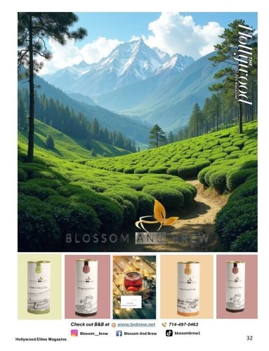 HEM-Nov v3 with bleeed 8-625x11-25_032 (Large)