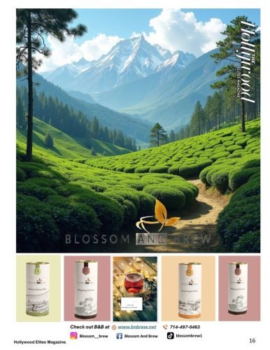 July v4 without bleeed 8-5x11_016