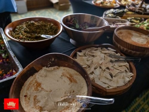 Samira_s Birthday and Appreciation Party 2025--252