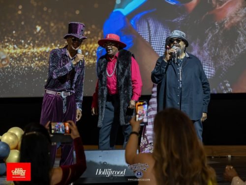 Samira_s Birthday and Appreciation Party 2025--387