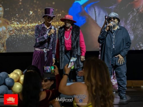 Samira_s Birthday and Appreciation Party 2025--389