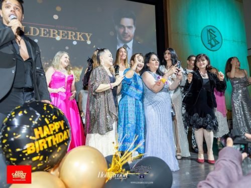 Samira_s Birthday and Appreciation Party 2025--56